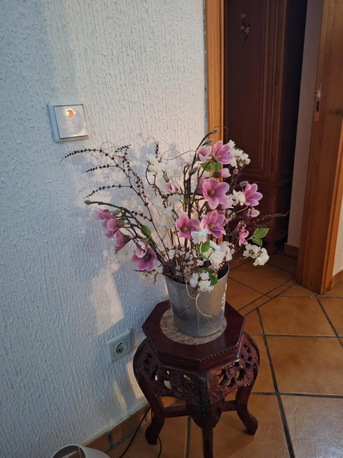 Hostal El Patio Restaurante San Bartolomé de Pinares Kültér fotó