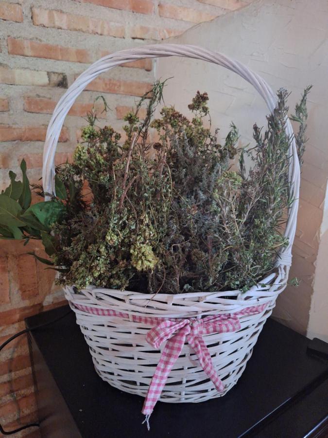 Hostal El Patio Restaurante San Bartolomé de Pinares Kültér fotó